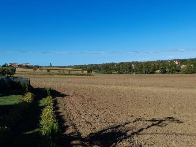 Terreno in vendita a Coriano RN