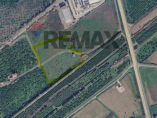Terreno in vendita a Corigliano Rossano CS