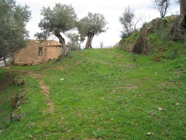Terreno in vendita a Corigliano Rossano CS