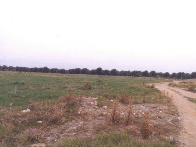Terreno in vendita a Corigliano Rossano CS