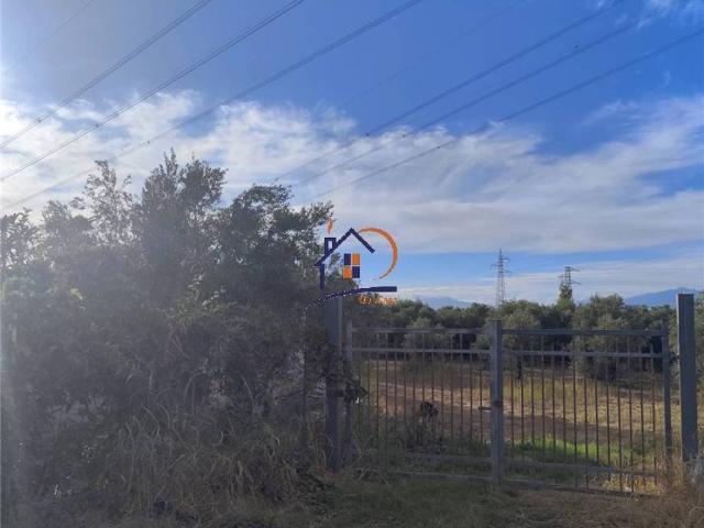 Terreno in vendita a Corigliano Rossano CS