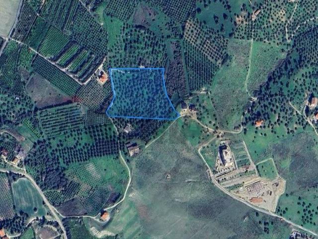 Terreno in vendita a Corigliano Rossano CS