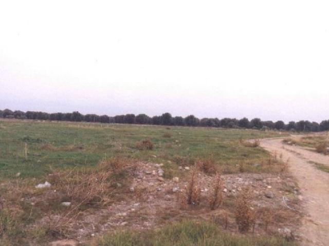 Terreno in vendita a Corigliano Rossano CS