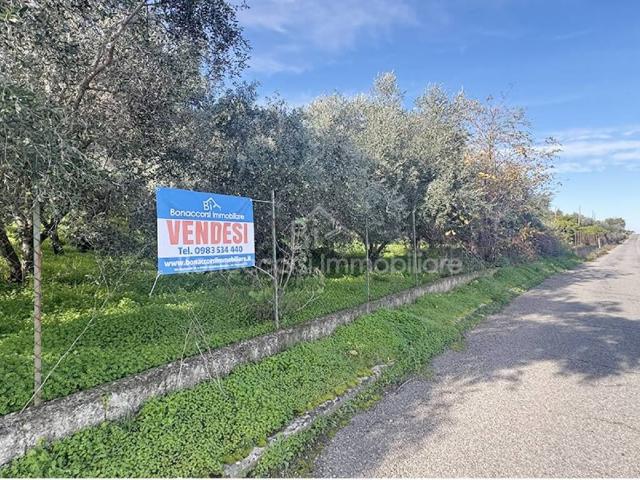 Terreno in vendita a Corigliano Rossano CS