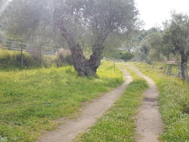 Terreno in vendita a Corigliano Rossano CS