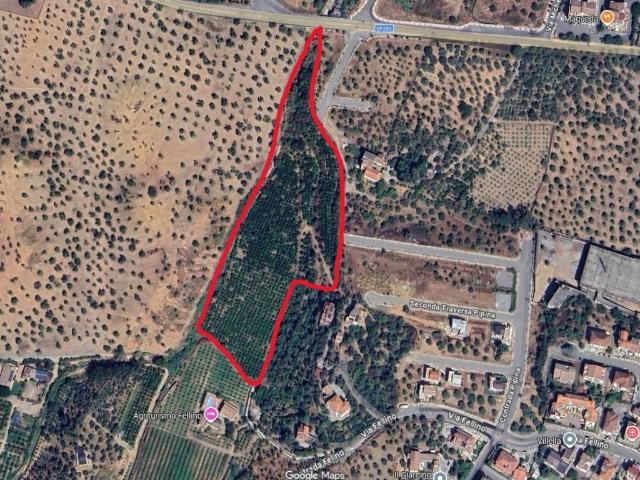 Terreno in vendita a Corigliano Rossano CS