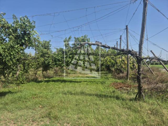 Terreno in vendita a Correggio RE