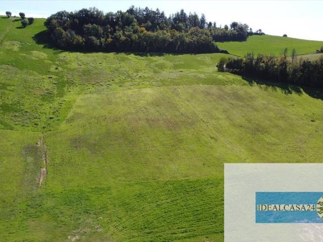 Terreno in vendita a Corridonia MC