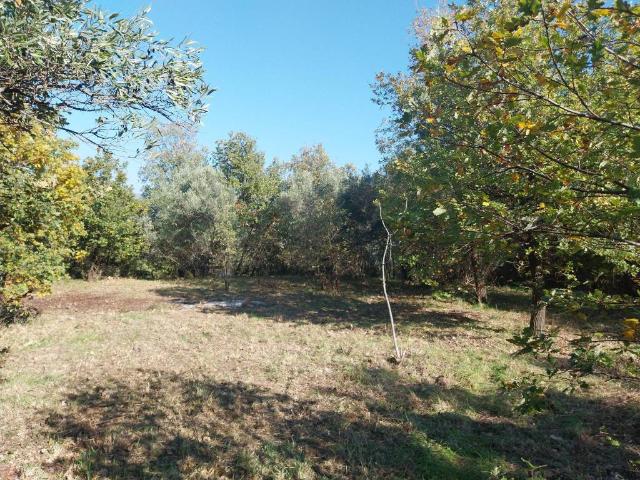 Terreno in vendita a Cosenza CS