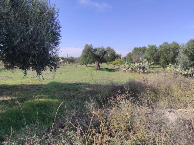 Terreno in vendita a Crispiano TA