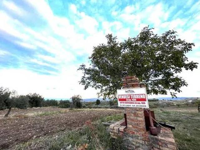 Terreno in vendita a Cupello CH