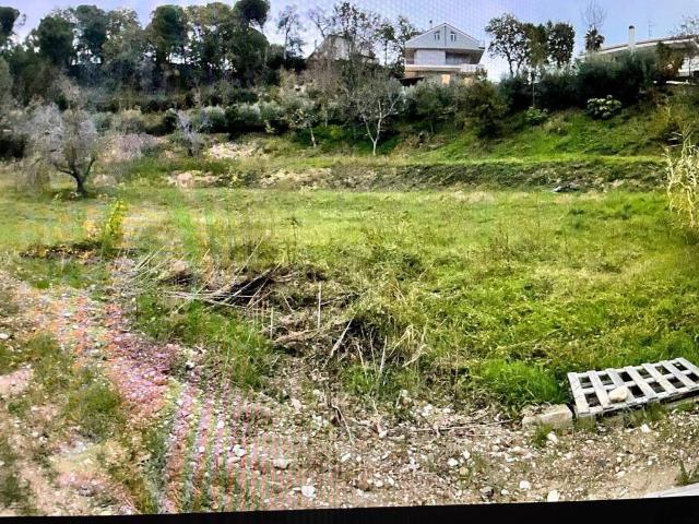 Terreno in vendita a Cupra Marittima AP