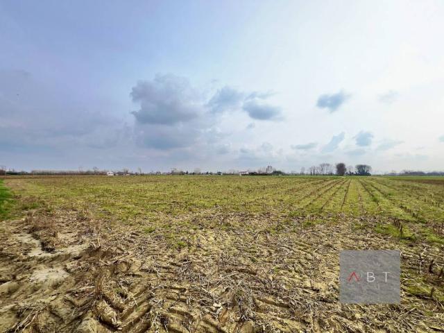Terreno in vendita a Curtarolo PD