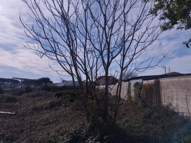 Terreno in vendita a Curti CE