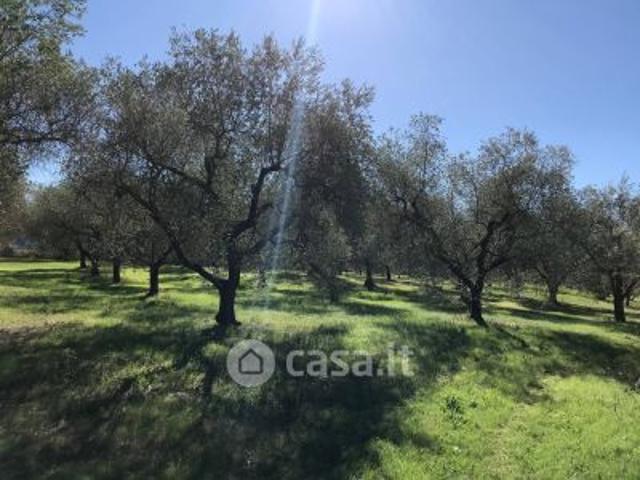 Terreno in vendita a Deruta