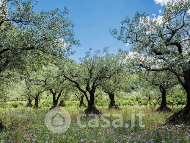 Terreno in vendita a Deruta