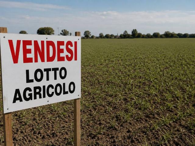 Terreno in vendita a Desenzano del Garda BS