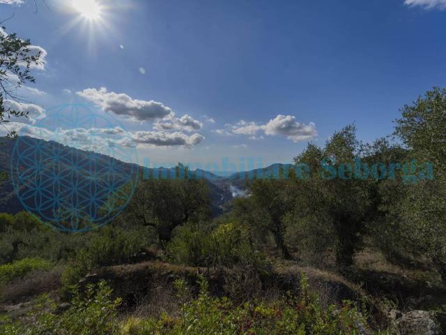 Terreno in vendita a Dolceacqua IM