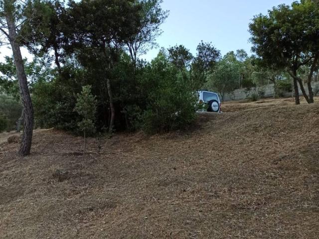 Terreno in vendita a Dolianova CA