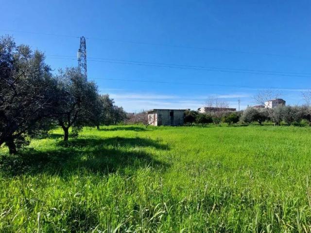 Terreno in vendita a Eboli SA