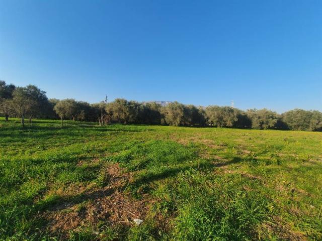 Terreno in vendita a Eboli SA