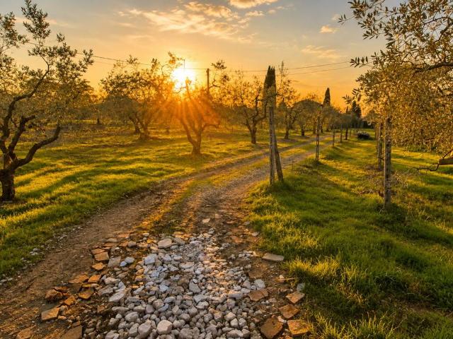 Terreno in vendita a Empoli FI