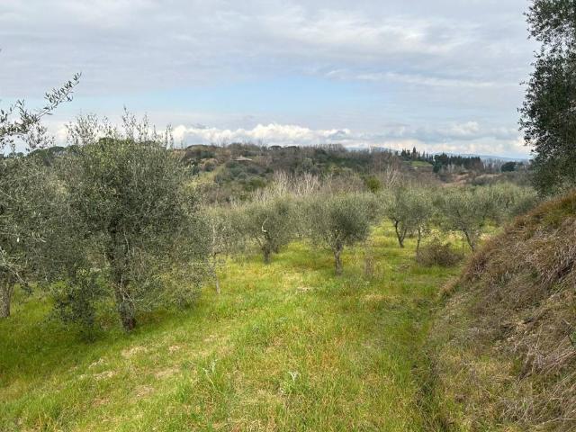 Terreno in vendita a Empoli FI