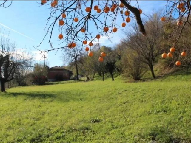 Terreno in vendita a Erba CO