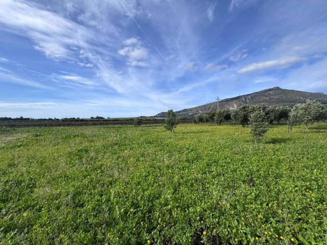 Terreno in vendita a Erice TP