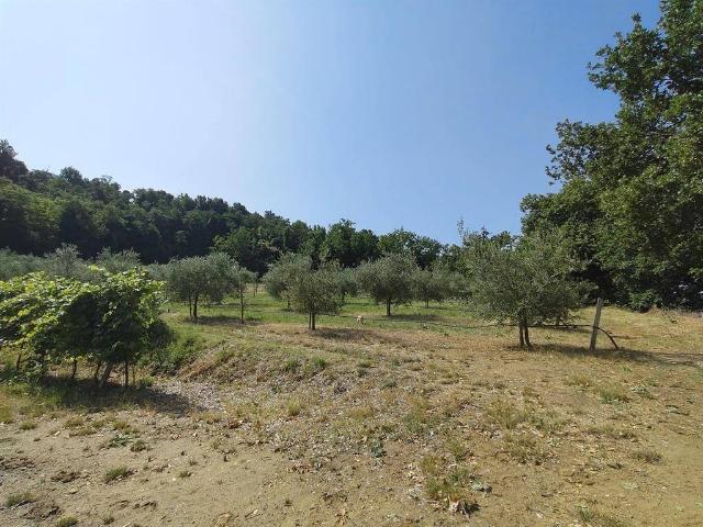 Terreno in vendita a Faenza RA