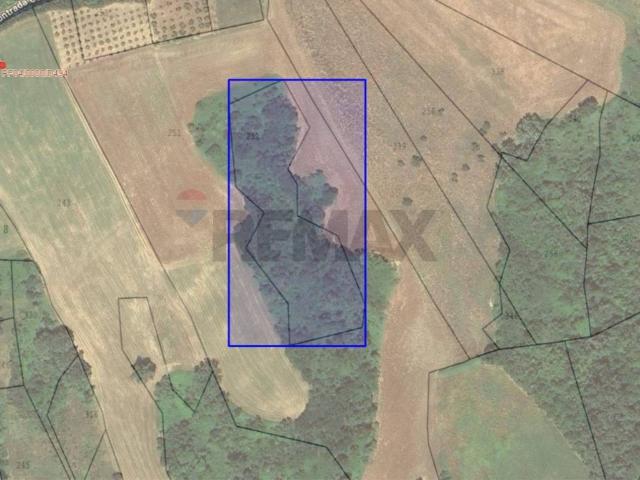 Terreno in vendita a Fara Filiorum Petri CH