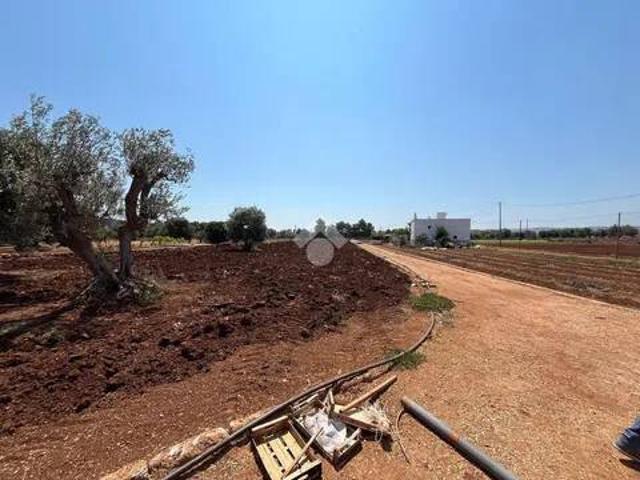 Terreno in vendita a Fasano BR