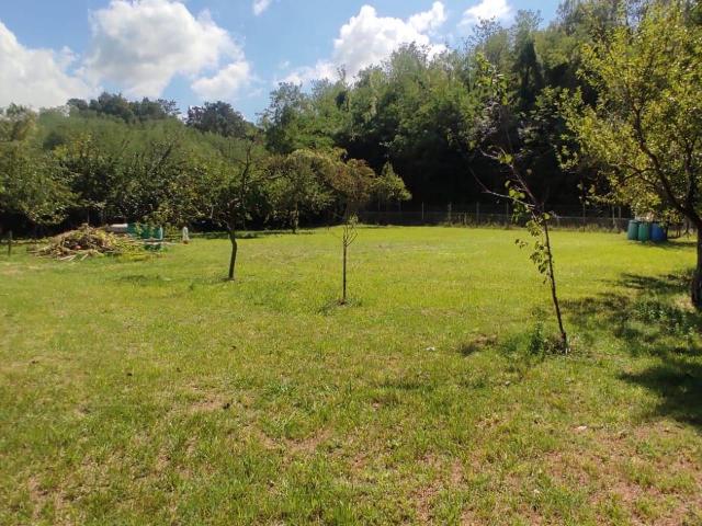 Terreno in vendita a Fauglia, Fauglia