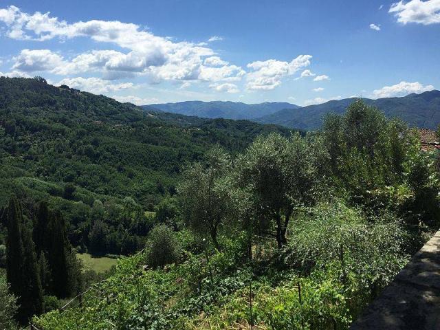Terreno in vendita a Fauglia, Valtriano