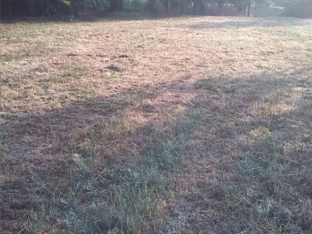 Terreno in vendita a Ferentino FR