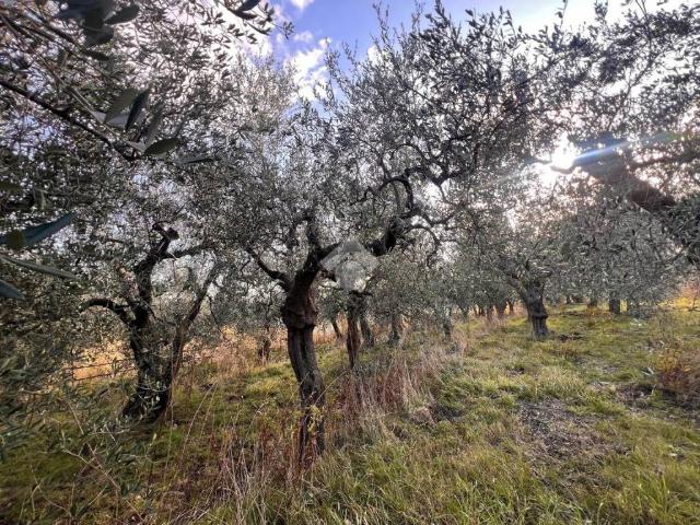 Terreno in vendita a Finale Ligure SV