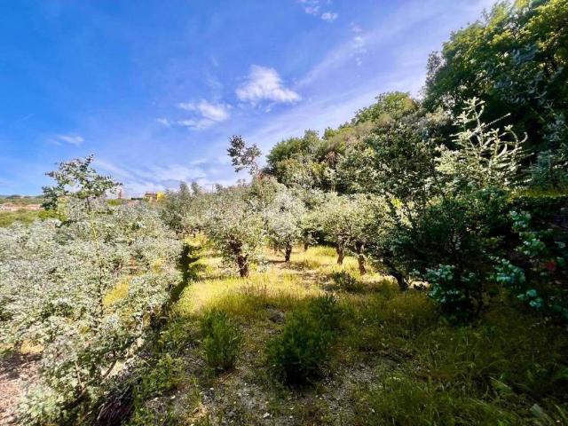 Terreno in vendita a Finale Ligure SV