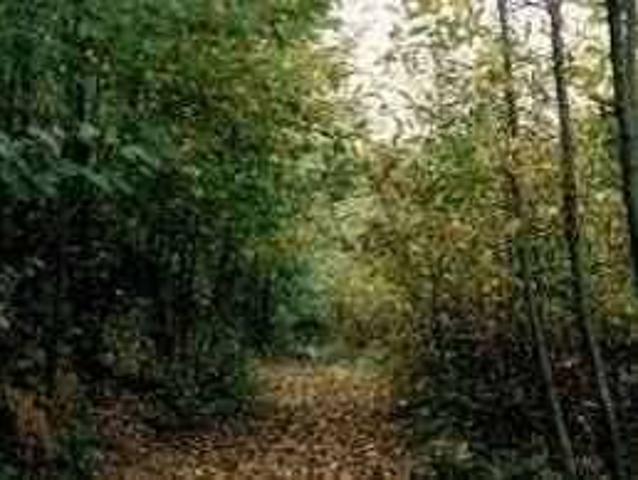 Terreno in vendita a Fino Mornasco CO