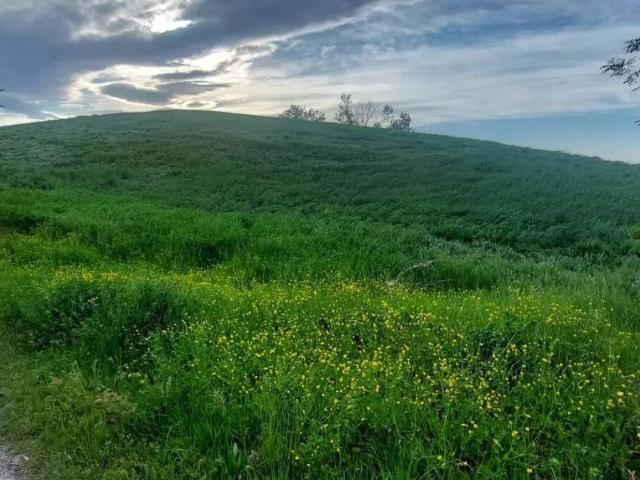 Terreno in vendita a Fiorano Modenese MO
