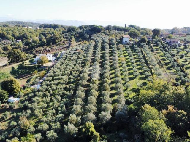 Terreno in vendita a Fiano Romano RM