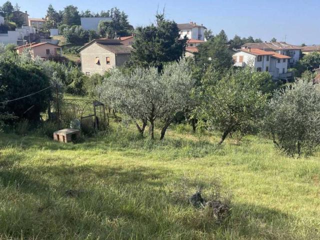 Terreno in vendita a Ficulle TR