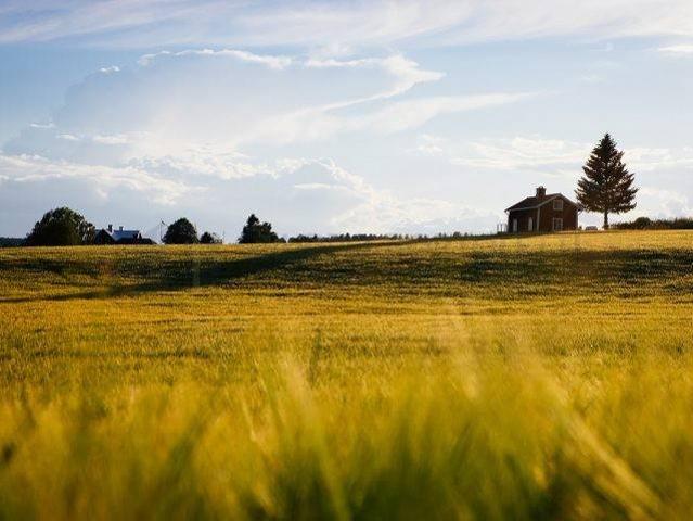 Terreno in vendita a Fiesso d'Artico VE