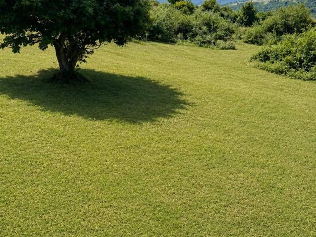 Terreno in vendita a Fiuggi FR