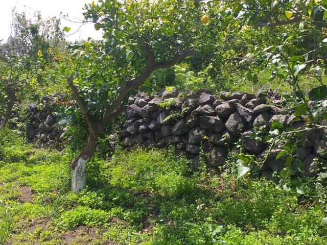 Terreno in vendita a Fiumefreddo di Sicilia CT