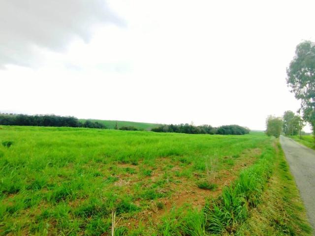 Terreno in vendita a Fiumicino RM