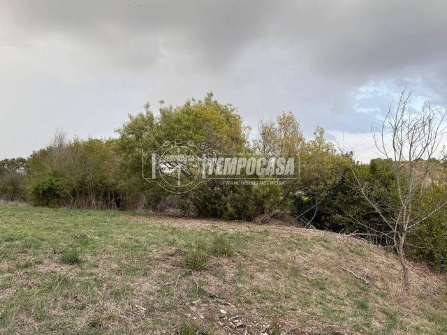 Terreno in vendita a Fiumicino RM