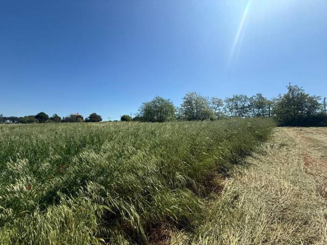 Terreno in vendita a Fiumicino RM