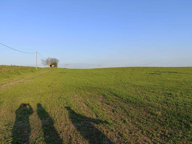Terreno in vendita a Fiumicino RM