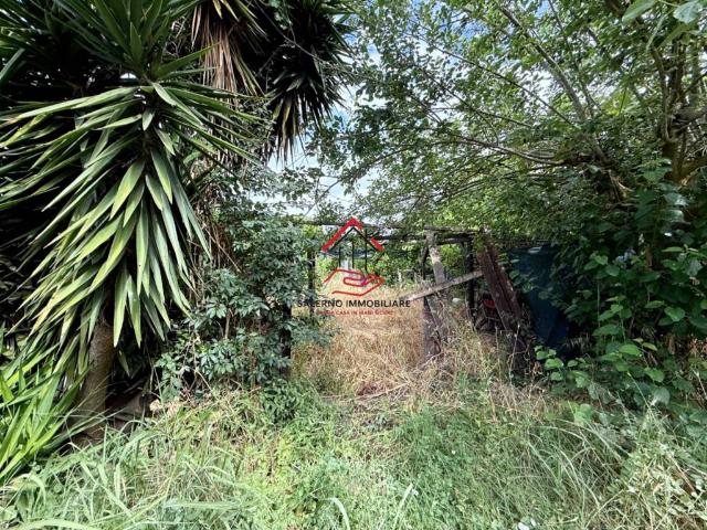 Terreno in vendita a Fiumicino RM