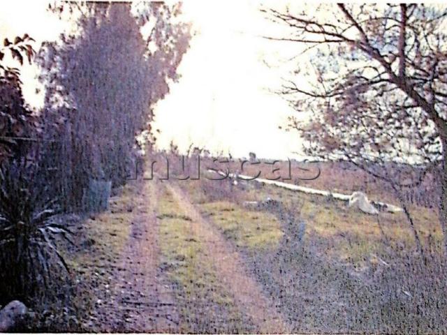 Terreno in vendita a Fiumicino RM